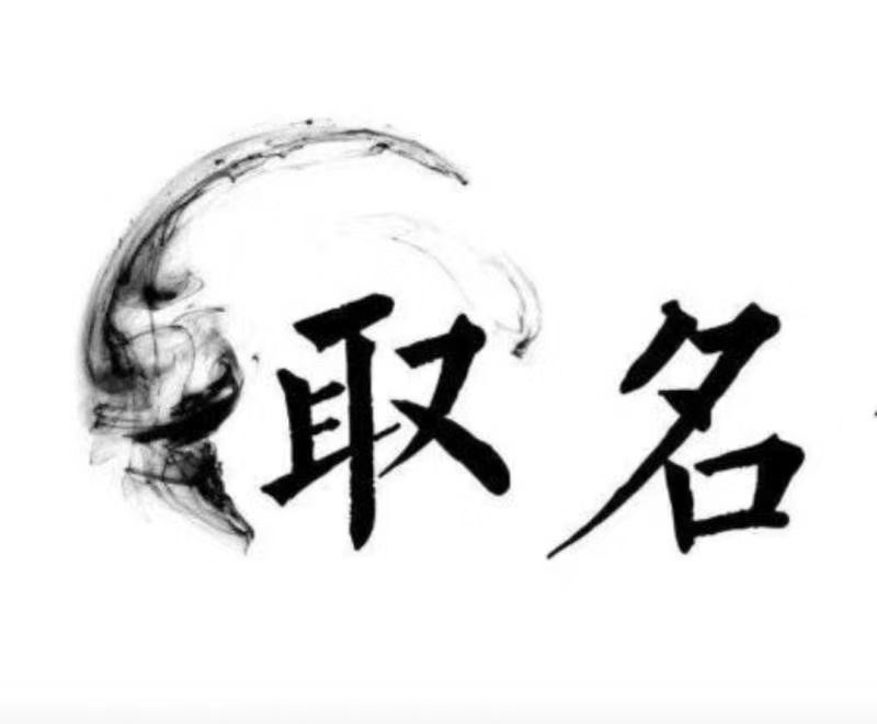  金东宝宝取名 大师一对一人工起名